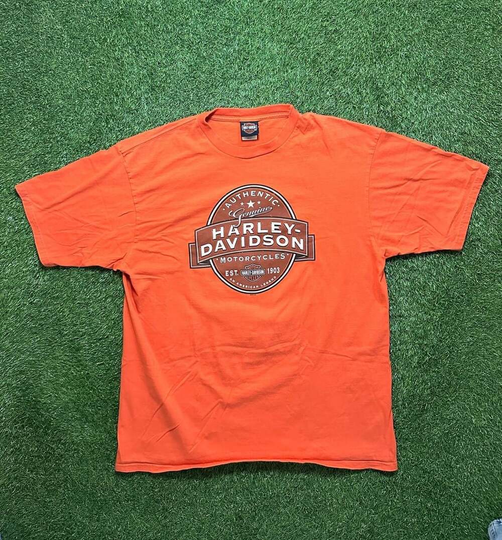 2008 Harley Davidson Smoky Mountain Maryville Gatlinburg Pigeon Forge TN Orange